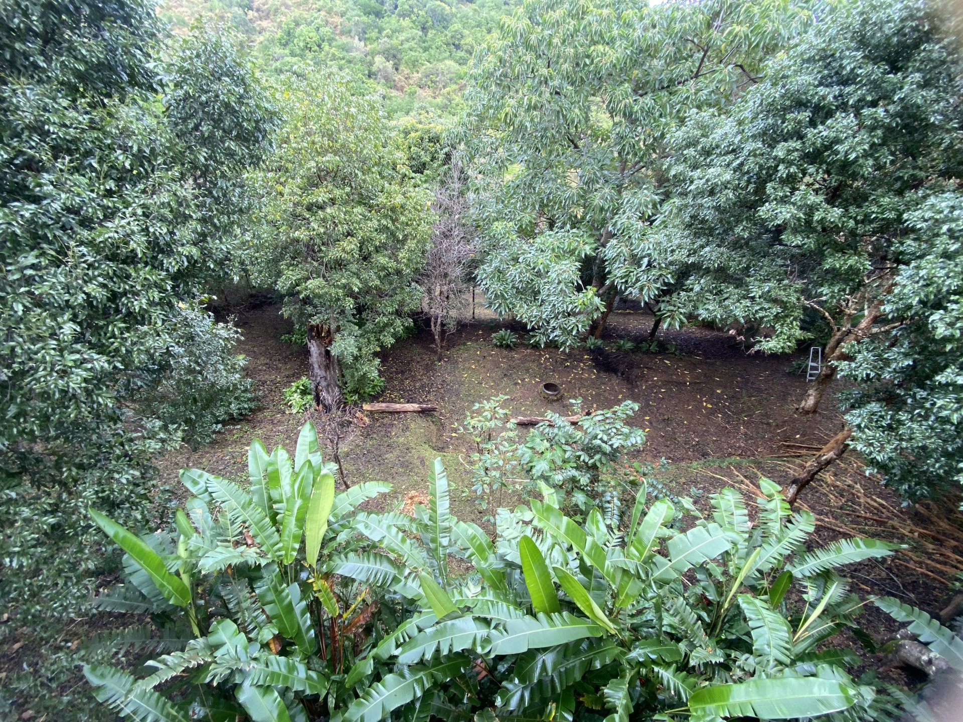 image00037